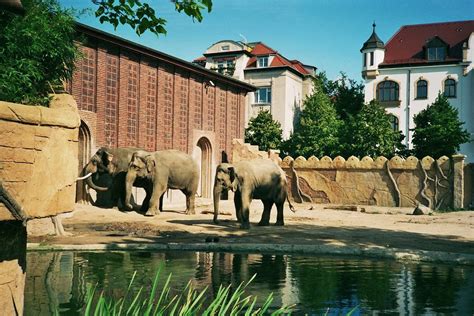 The Circus  NO SPIN ZONE : Leipzig Zoo Elephants  Yesterday and Today