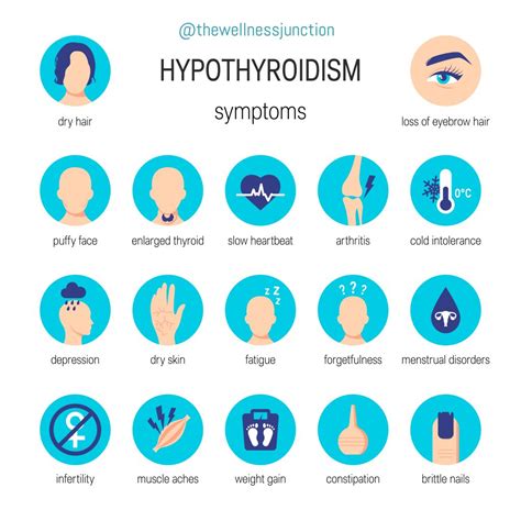 The connection between Hypothyroidism and SIBO   The ...