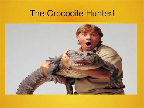 The Crocodile Hunter   Steve Irwin