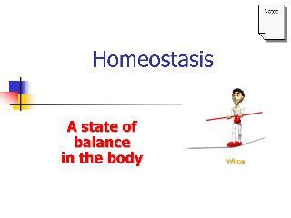 The curious: Meaning of Homeostasis. « Tobeetoe Health ...