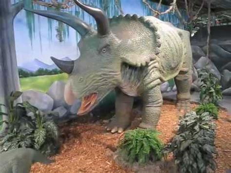 The Dinosaur kid goes to the Omaha Children s Museum YouTube