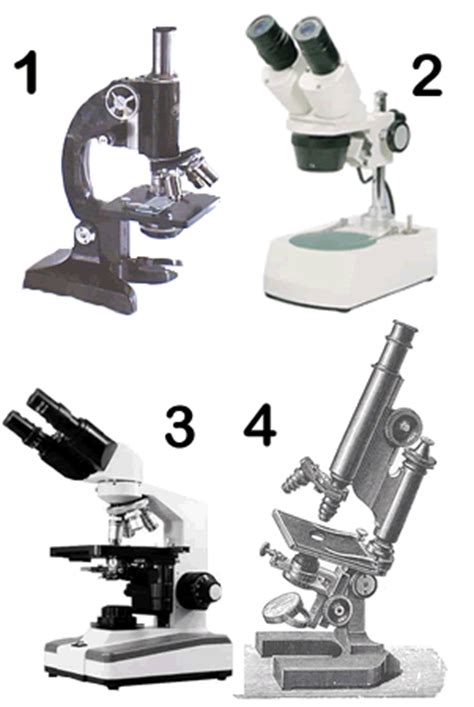The Evolution of the Microscope