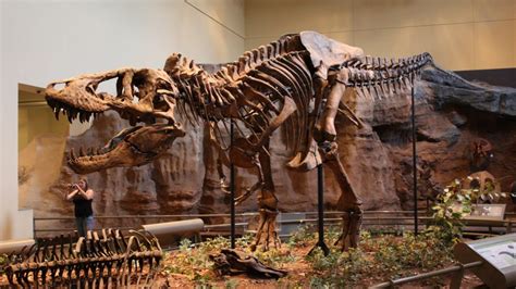 The First T Rex Skeleton | Pittsburgh Beautiful