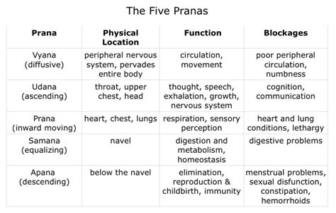 The Five Pranas | Jeanne Heileman