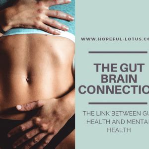 The Gut Brain Connection: The Link Between Gut Health and ...
