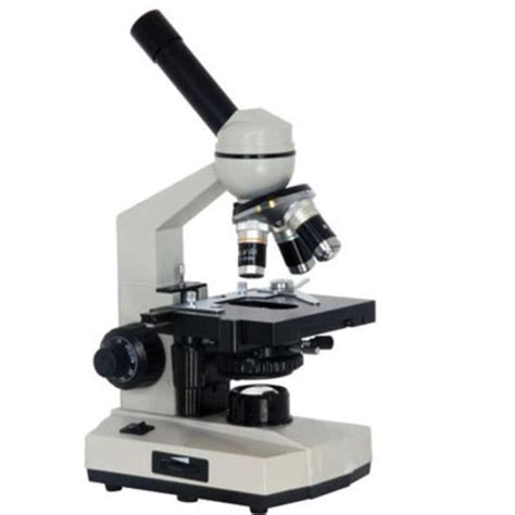 The History of Microscopes timeline | Timetoast timelines