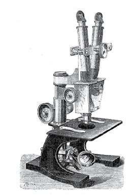 The History of Stereo Microscopy – Part III | Learn ...