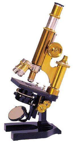 The History of Stereo Microscopy – Part III | Learn ...