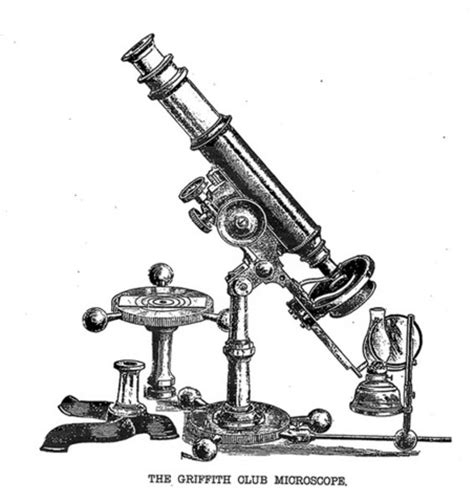 The History of the Microscope and Cell Theory timeline ...