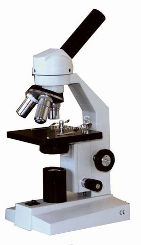 The History Of The Microscope timeline | Timetoast timelines