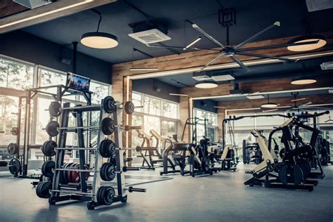 The Importance And Vital Benefits Of Gym Cleaning Service To Fitness ...