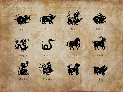 The Intricate History of Astrology and Its Various Beliefs ...