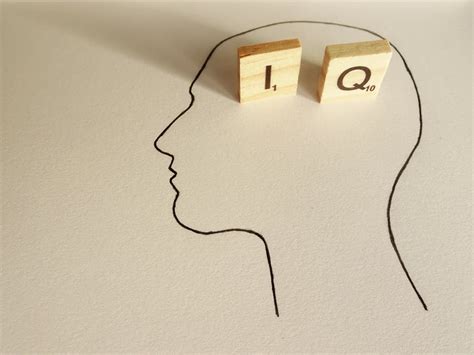 The IQ test wars: why screening for intelligence is still ...