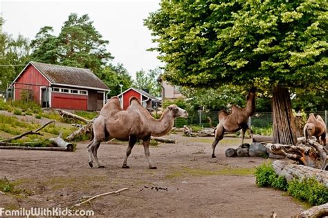 The Korkeasaari Zoo, Helsinki Zoo, Finland, photo ...