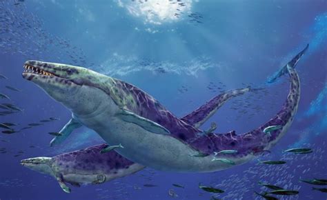 The Largest Prehistoric Marine Life   Imgur | Prehistoric animals ...