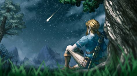The Legend Of Zelda: Breath Of The Wild HD Wallpaper | Background Image ...