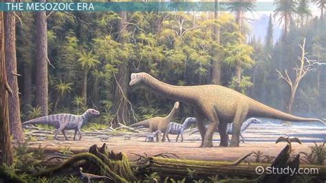 The Mesozoic Era: Facts, Events & Timeline   Video ...