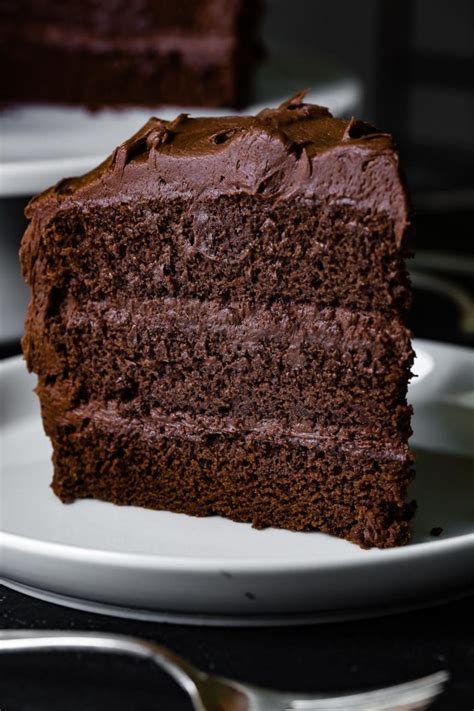 The Most Perfect Moist Chocolate Cake   Oh Sweet Basil