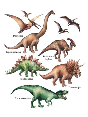 The names of the dinosaurs Posters and Prints ...