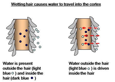 THE NATURAL HAVEN: Blow Drying Reduces Moisture in Hair ...