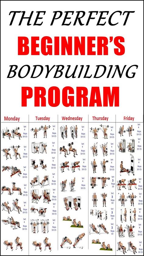 THE PERFECT BEGINNER’S BODYBUILDING PROGRAM | Bodybuilding program ...