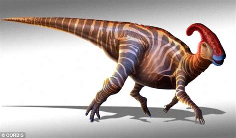 The  superduck  that reveals how dinosaurs got their ...