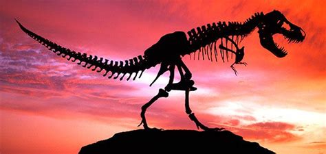 The Top Ten Weirdest Dinosaur Extinction Ideas | Science ...