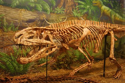 The Triassic Period Facts For Kids & Adults: Animals ...