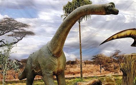The UK s best dinosaur attractions   Telegraph