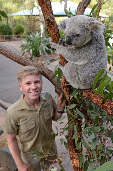 The ultimate Australia Zoo guide: how to make the most of your visit ...