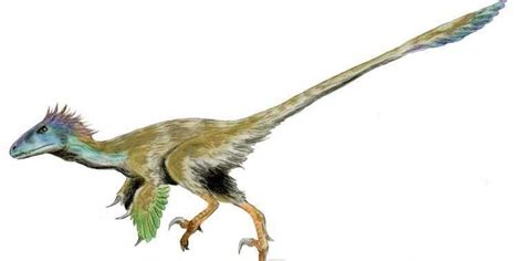 The Velociraptors in the  Jurassic Park  movies are ...