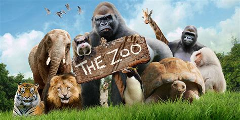 The Zoo   CBBC Comedy   British Comedy Guide