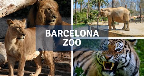 The Zoo of Barcelona | Barcelona Home