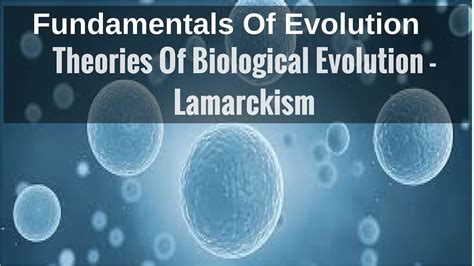 Theories Of Biological Evolution   Lamarckism   YouTube