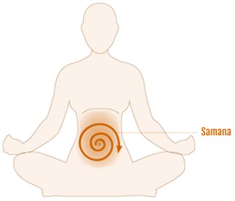 Therapeutic Yoga & Ayurveda for Nausea, Heartburn, Ulcers ...