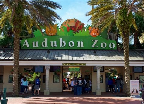 Things to do in New Orleans with kids – Visit Audubon Zoo