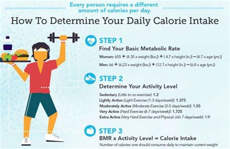 This daily calorie calculator figures out daily calories ...