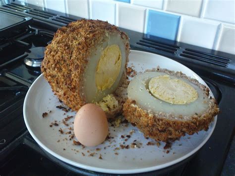 This is a Scotch Ostrich Egg. : pics