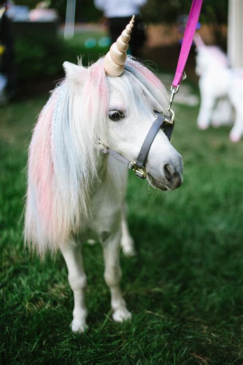 This Magical Wedding Featured a Unicorn Petting Zoo | Glamour