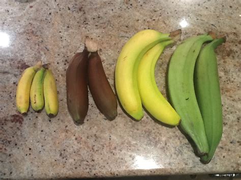 This sh*t is bananas… | principleintopractice