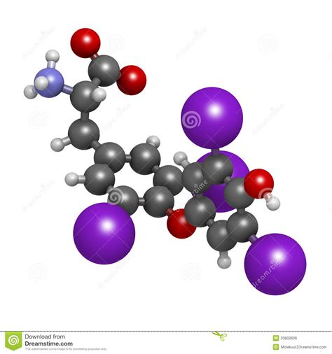 Thyroxine Molecule, Chemical Structure. Thyroid Gland ...