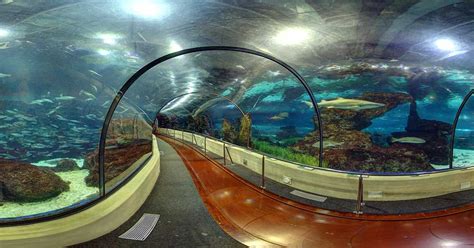 Tickets for Barcelona Aquarium: Skip The Line | 360 Stories