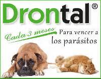 Tienda Animales Online   Especialistas en el cuidado de su mascota