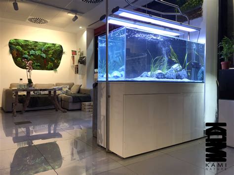 Tienda online de peces en Sevilla venta de peces y acuarios