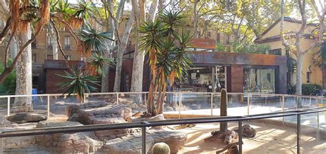 Tienda Zoo de Barcelona   grupo izer