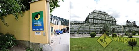 Tiergarten, o Zoo de Viena em Schönbrunn  esq  e o ...