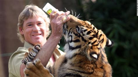 Tiger attacks keeper at Steve Irwin s Australia Zoo   CNN.com