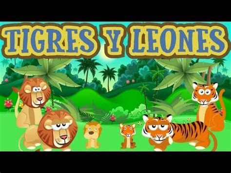 Tigres, tigres, leones, leones   video animado infantil ...