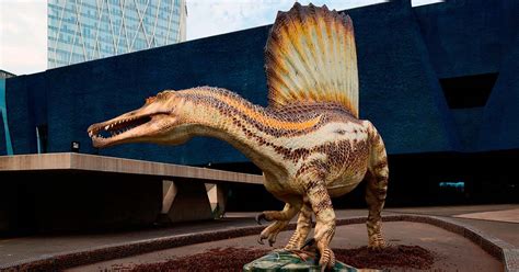 Timelapse: el montaje de un Spinosaurus a tamaño real