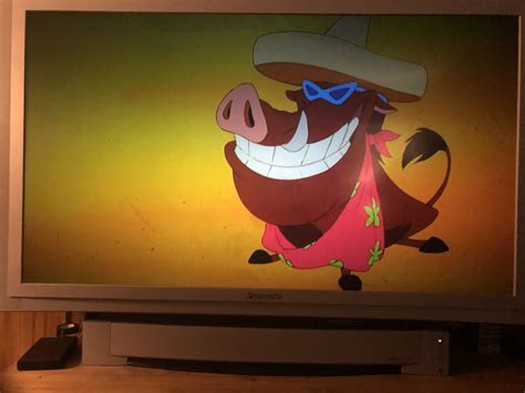 Timon & Pumbaa The Complete Series 3 Seasons with 85  131 ...